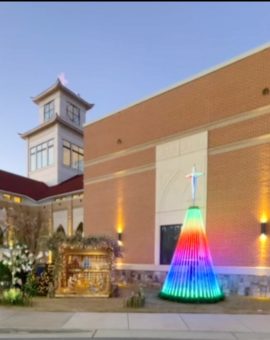 Cây thông noel tháo ráp